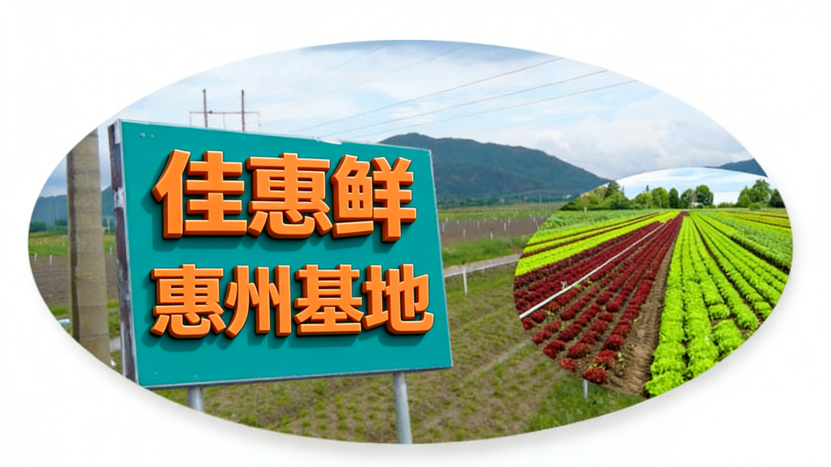 價(jià)格優(yōu)勢(shì)